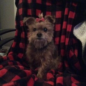 Meet your Posher, Marylou